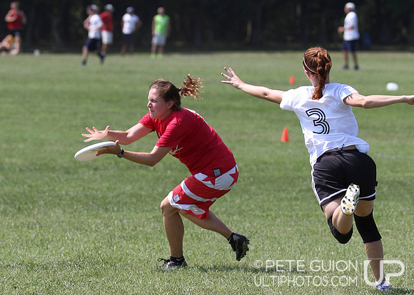 Playoffs of the Mixed Division of the Ultimate Capitol Sectionals