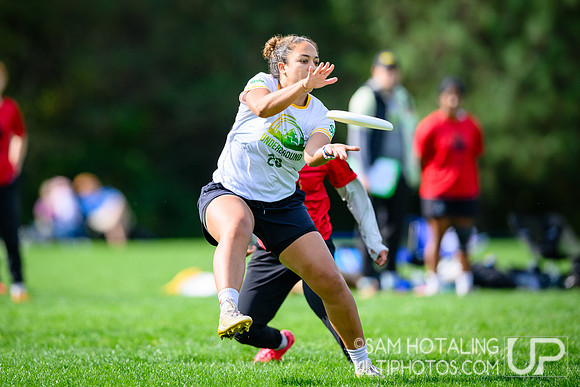 Saturday highlights during USAU Northwest Regional Championships at Crystal Lake Sports Fields