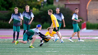 Boys' Finals - MN State HS Championships 2016