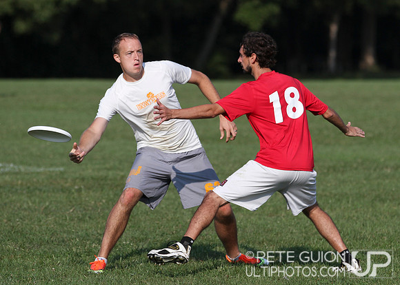 Playoffs of the Mixed Division of the Ultimate Capitol Sectionals