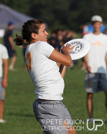 Playoffs of the Mixed Division of the Ultimate Capitol Sectionals
