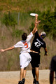 Sunday Preview -- 2012 D-I Southeast Regionals