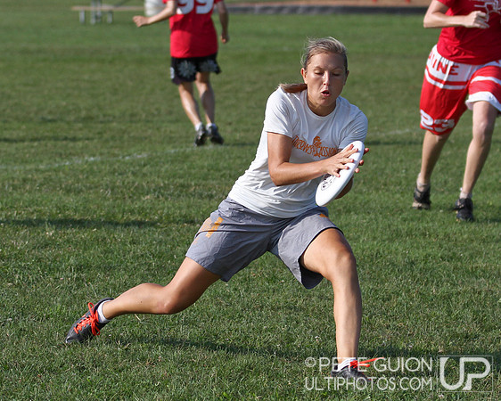 Playoffs of the Mixed Division of the Ultimate Capitol Sectionals