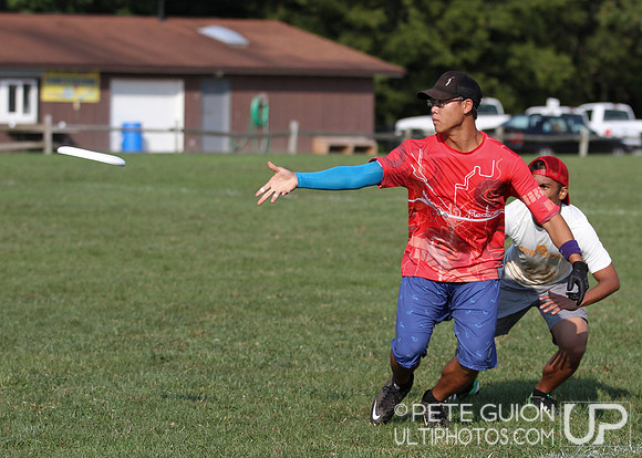 Playoffs of the Mixed Division of the Ultimate Capitol Sectionals