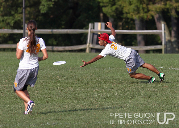 Playoffs of the Mixed Division of the Ultimate Capitol Sectionals