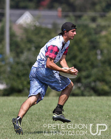 Playoffs of the Mixed Division of the Ultimate Capitol Sectionals