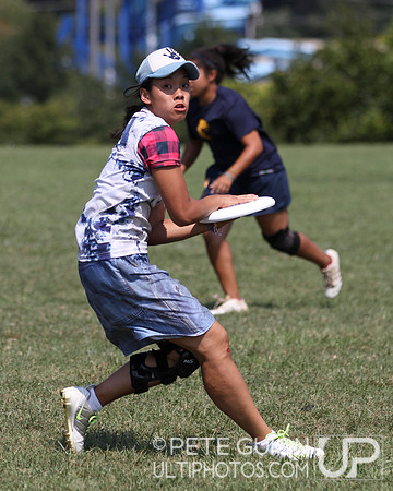 Playoffs of the Mixed Division of the Ultimate Capitol Sectionals