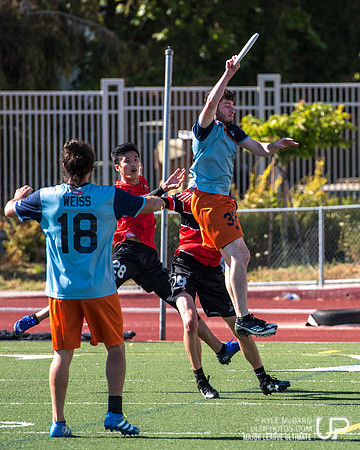 20160618 Dogfish v. Nighthawks