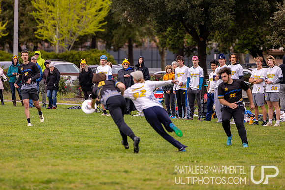NorCal D-I College Sectionals