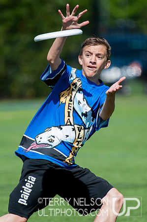 Georgia High School Ultimate State Championship