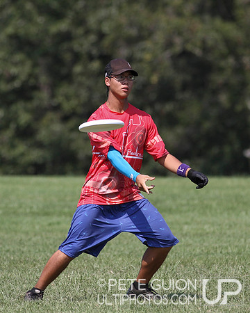 Playoffs of the Mixed Division of the Ultimate Capitol Sectionals
