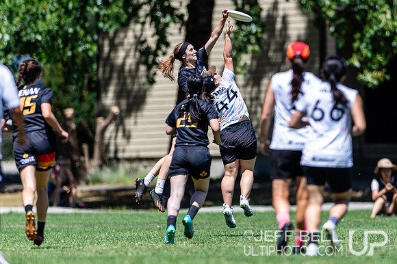 2023 BC Senior Ultimate Championship.