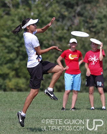 Playoffs of the Mixed Division of the Ultimate Capitol Sectionals