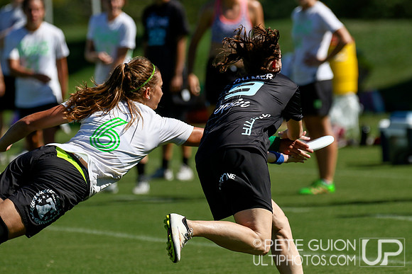 Chesapeake Open