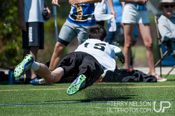 Georgia High School Ultimate State Championship