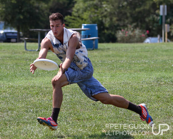 Playoffs of the Mixed Division of the Ultimate Capitol Sectionals