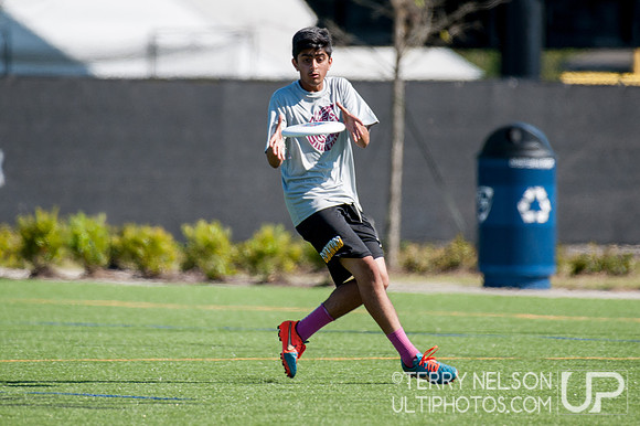 Georgia High School Ultimate State Championship