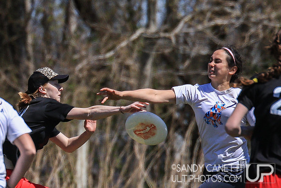 Saturday - Metro NY D-1 College Women's Sectionals