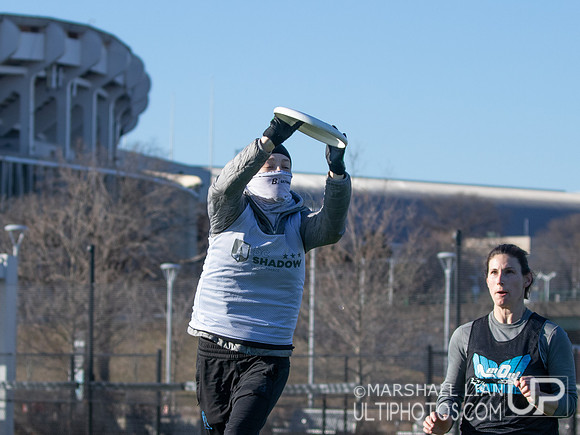 DC Shadow 2022 Tryout #3