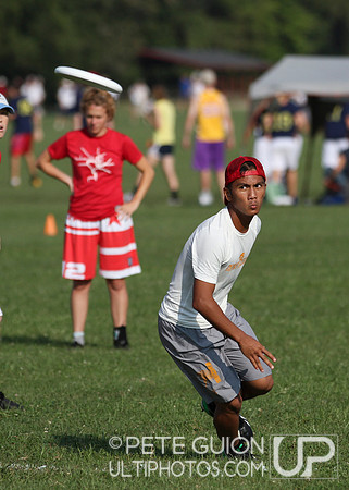 Playoffs of the Mixed Division of the Ultimate Capitol Sectionals