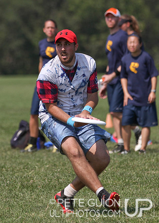 Playoffs of the Mixed Division of the Ultimate Capitol Sectionals