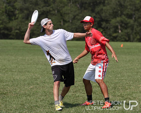 Playoffs of the Mixed Division of the Ultimate Capitol Sectionals