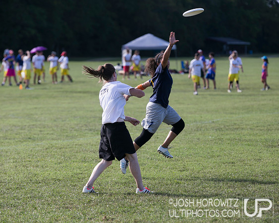 Capital Sectionals Sunday 2014