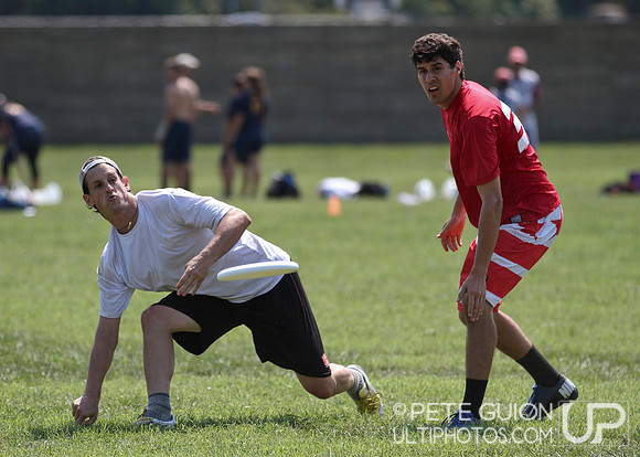 Playoffs of the Mixed Division of the Ultimate Capitol Sectionals