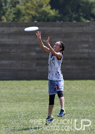 Playoffs of the Mixed Division of the Ultimate Capitol Sectionals