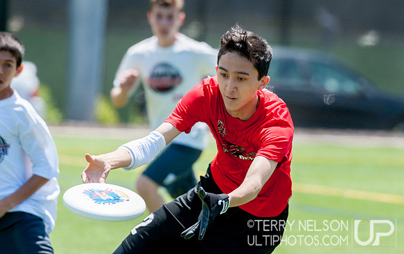 Georgia High School Ultimate State Championship