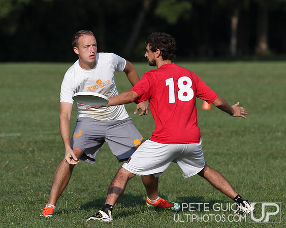 Playoffs of the Mixed Division of the Ultimate Capitol Sectionals