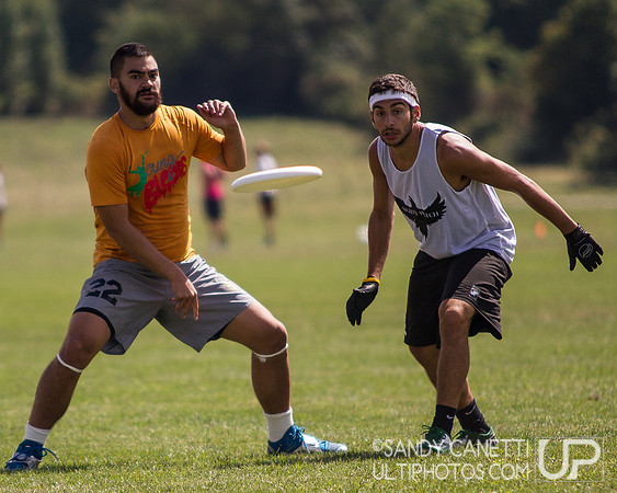 2013 USA Ultimate Metro New York Open Sectionals