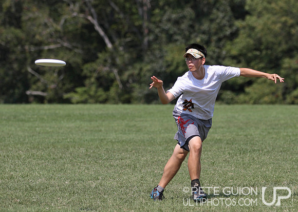 Playoffs of the Mixed Division of the Ultimate Capitol Sectionals