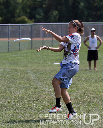 Playoffs of the Mixed Division of the Ultimate Capitol Sectionals