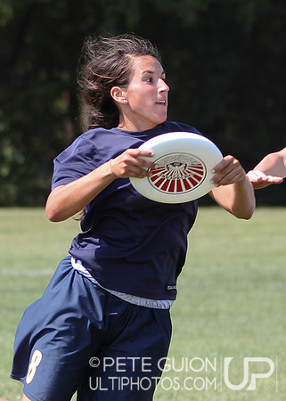 Mixed Division Finals of the Ultimate Capitol Sectionals