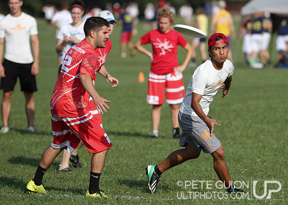 Playoffs of the Mixed Division of the Ultimate Capitol Sectionals