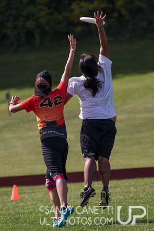 2013 USA Ultimate Metro New York Women Sectionals