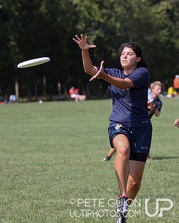 Mixed Division Finals of the Ultimate Capitol Sectionals