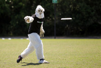 USAU Southern HS Regional Championships 2016 - Sunday