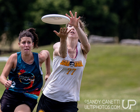 LVU's Disc Days of Summer