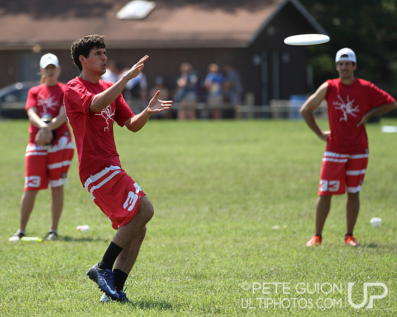 Playoffs of the Mixed Division of the Ultimate Capitol Sectionals