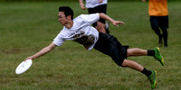 HS Northeastern Conference Championships