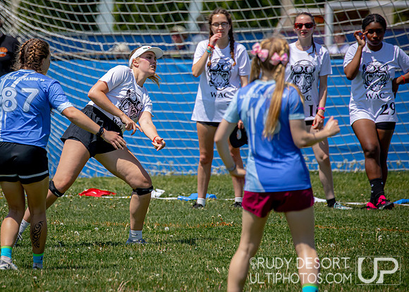 2024 USA Ultimate Division III College Championships ©