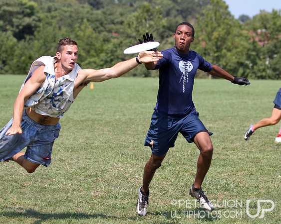 Playoffs of the Mixed Division of the Ultimate Capitol Sectionals