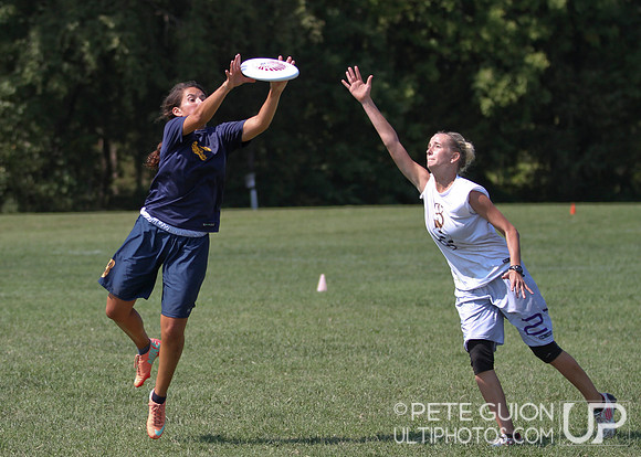 Mixed Division Finals of the Ultimate Capitol Sectionals