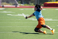 20160618 Dogfish v. Nighthawks