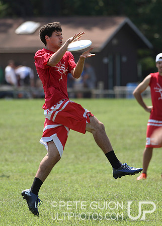 Playoffs of the Mixed Division of the Ultimate Capitol Sectionals