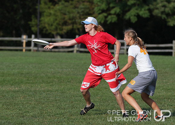 Playoffs of the Mixed Division of the Ultimate Capitol Sectionals