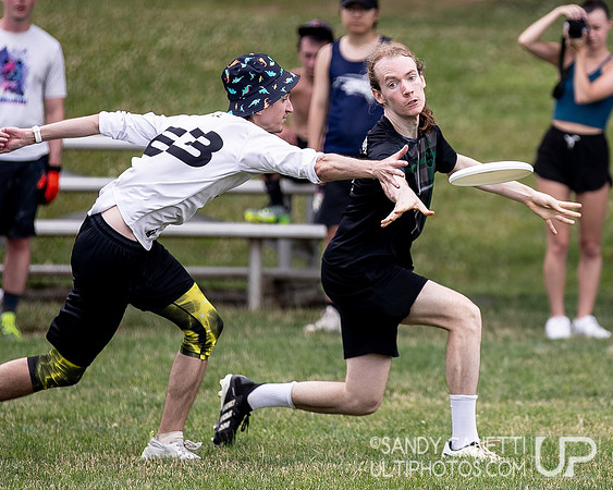 LVU's Disc Days of Summer