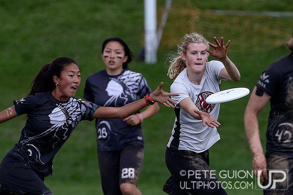 HS Northeastern Conference Championships